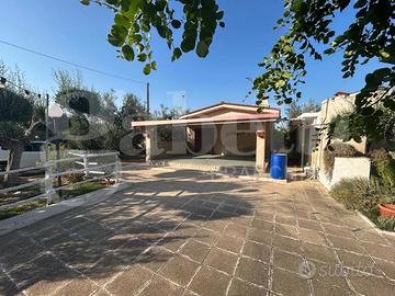 Terreno Agricolo Canosa di Puglia