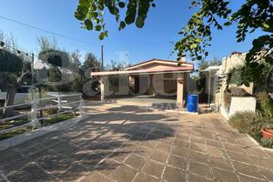 Terreno Agricolo Canosa di Puglia