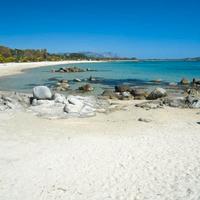 Appartamento monolocale