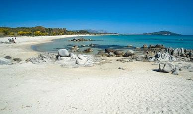 Appartamento monolocale