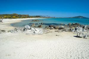 Appartamento monolocale