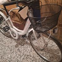BICI VERTEK  