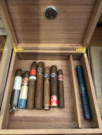 Piccolo humidor da scrivania