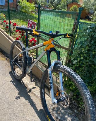 Bici  mountain bike 29 front