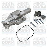 Kit attuatore Fiat Ducato Autobus 150 Multijet 2.3