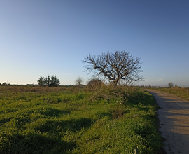 Terreno panoramico vista mare