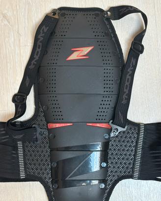 Paraschiena