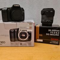 Canon EOS 30 D + Sigma 28-300