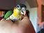 Immagine 1