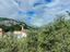 Immagine 28