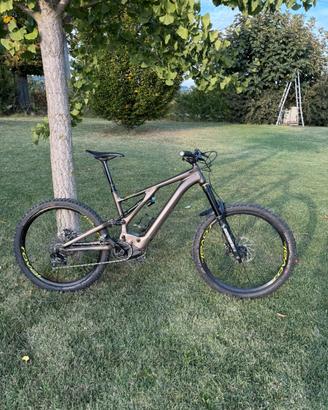 Specialized Kenevo S4 2021