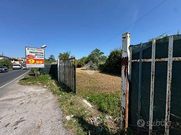TERRENO A ALBANO LAZIALE