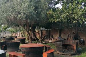 Locale eventi pizzeria bar