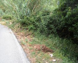 Terreno con possibilità pratiche parcheggio
