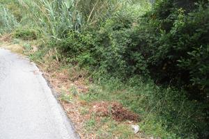 Terreno con possibilità pratiche parcheggio