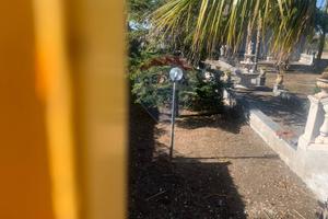 Villa a schiera - Belpasso