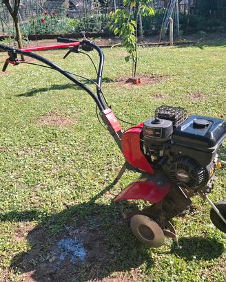 MOTOZAPPA PUBERT TERRO 750