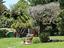 Immagine 26