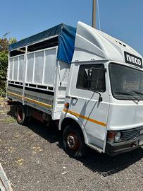 Fiat Iveco 50.10