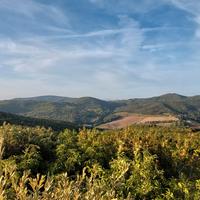 capanno minuta selvaggina