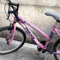 Mtb bimba 24