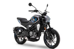 Cf Moto 300CL-X
