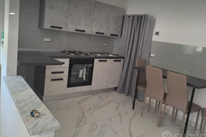 Appartamento ristrutturato