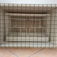 Mobile per gabbia uccelli