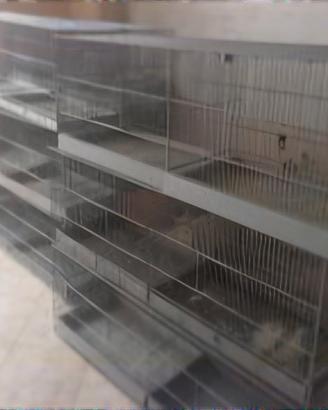 gabbie da cova 120cm