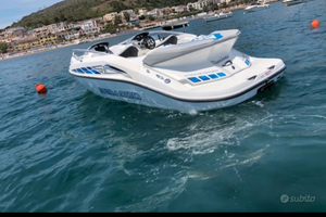 Sea doo speedster 200 530 CV