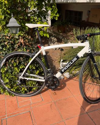 bici da corsa focus