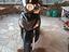 Immagine 4