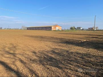 Terreno seminativo irriguo in loc. Nusone, Sarmato