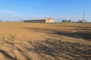 Terreno seminativo irriguo in loc. Nusone, Sarmato