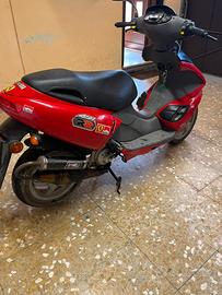 BENELLI 491