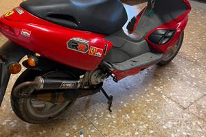 BENELLI 491