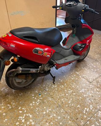 BENELLI 491