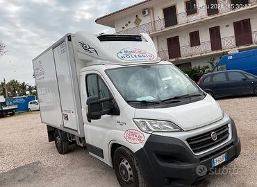 Fiat Ducato Frigo con cassa