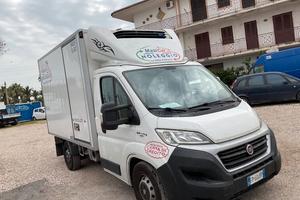 Fiat Ducato Frigo con cassa