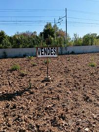 Terreno 750 mq