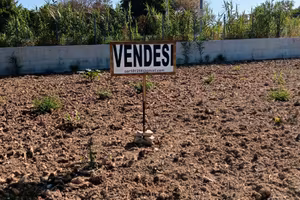 Terreno 750 mq