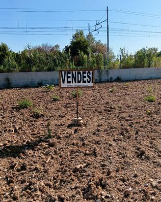 Terreno 750 mq