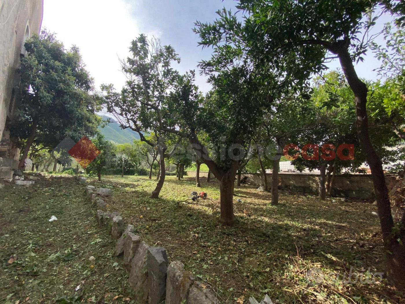 Rustico/Casale/Corte Sessa Aurunca - Altro