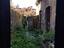 Immagine 9