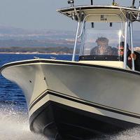 Al Custom 21 Suzuki DF 150