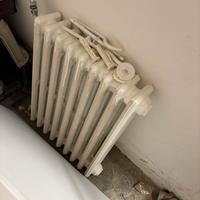 Termosifone in ghisa