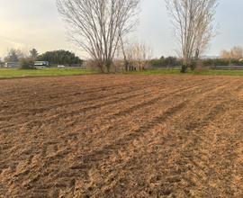 Terreno agricolo 2800 mq con pozzo - Lucca