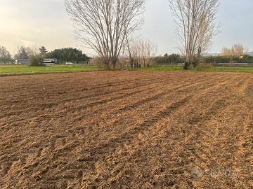 Terreno agricolo 2800 mq con pozzo - Lucca