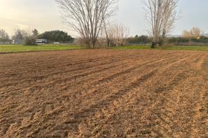 Terreno agricolo 2800 mq con pozzo - Lucca