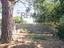 Immagine 9